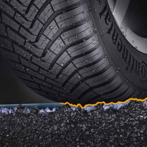 Conti AllSeasonContact